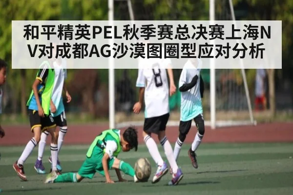 和平精英PEL秋季赛总决赛上海NV对成都AG沙漠图圈型应对分析